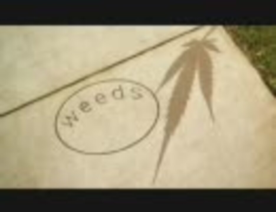 人気の マリファナ 大麻 動画 106本 ニコニコ動画