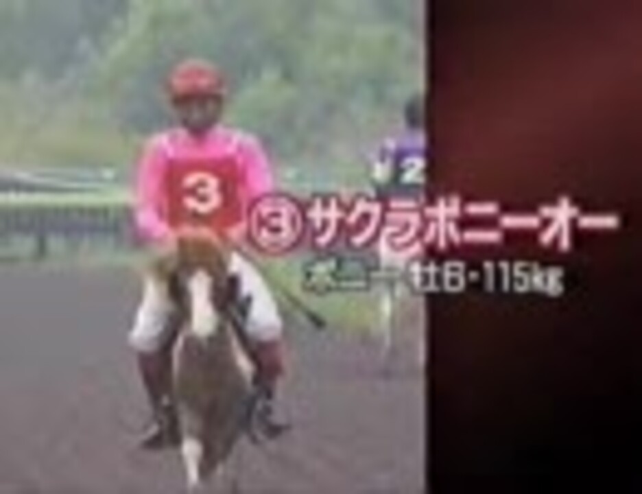 さんまのナンでもダービー サクラ王冠ステークス 競馬 ニコニコ動画