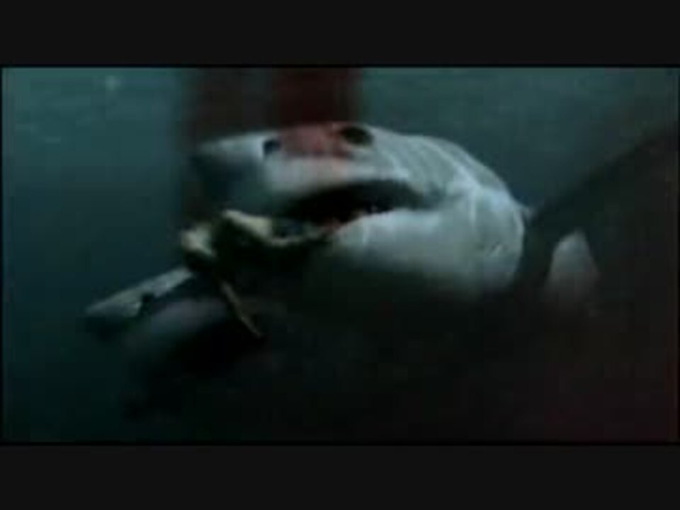 人気の サメ映画 動画 2本 ニコニコ動画