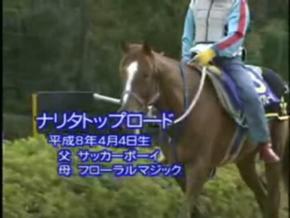 競馬 ナリタトップロード 優駿メモリアル ニコニコ動画