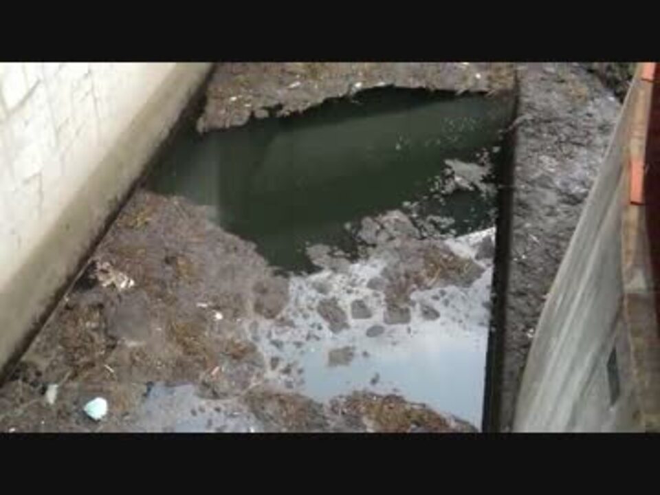 人気の 汚い川 動画 5本 ニコニコ動画