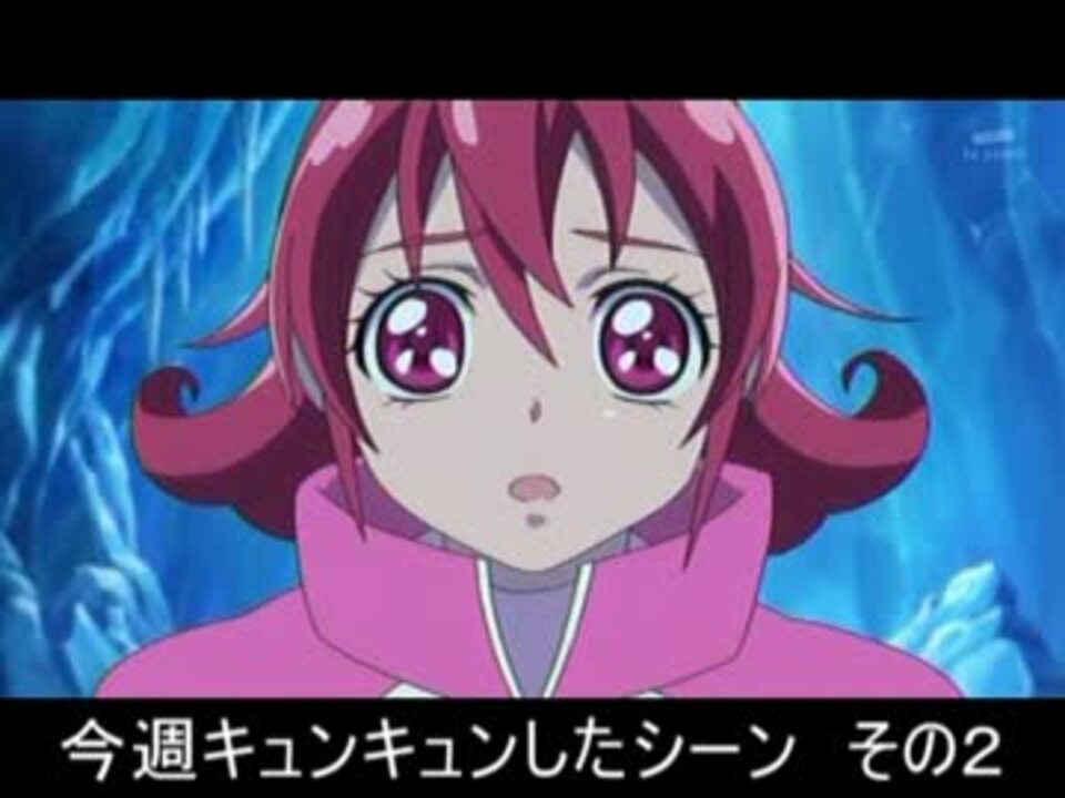 忙しい人のためのドキドキ！プリキュア　第20,24,25話 - ニコニコ動画