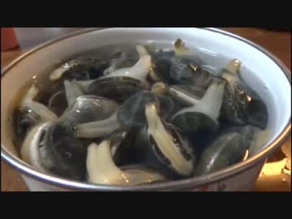 潮吹き ニコニコ動画