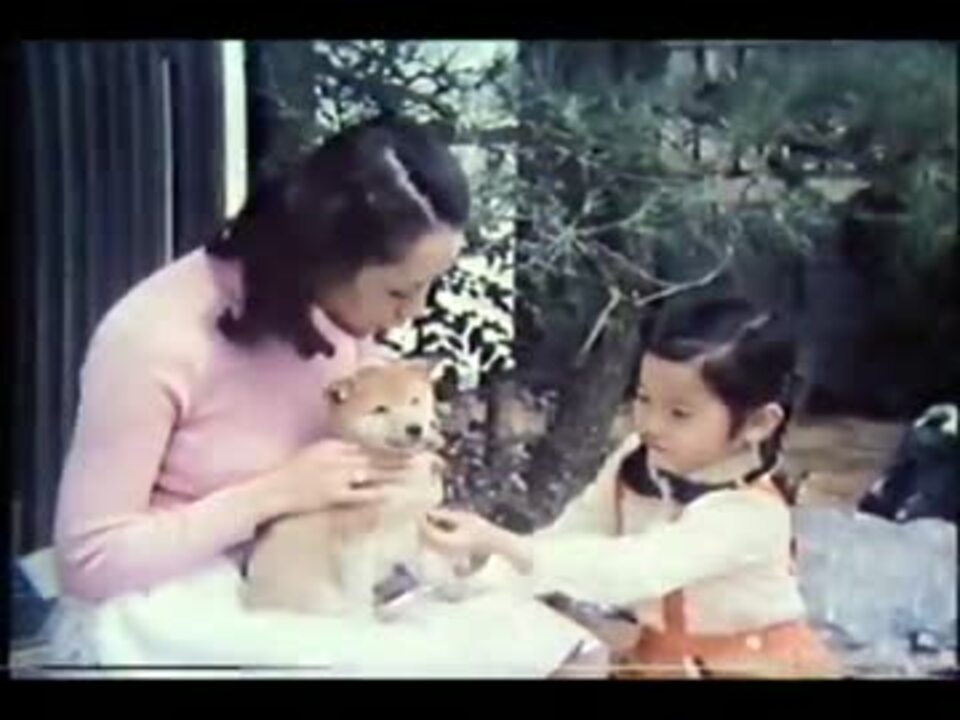 人気の 磯村建設 動画 9本 ニコニコ動画