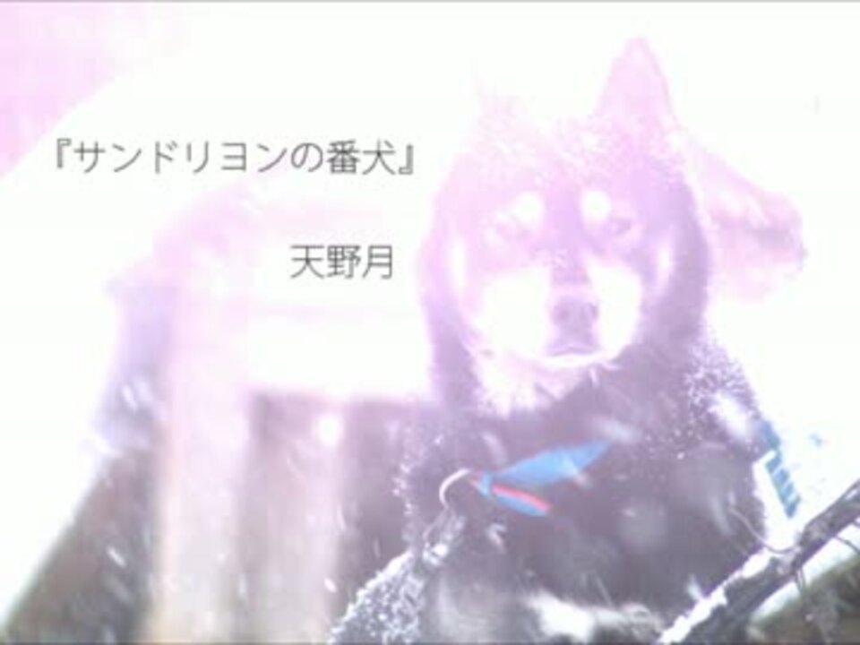 天野月 サンドリヨンの番犬 歌詞付 ニコニコ動画