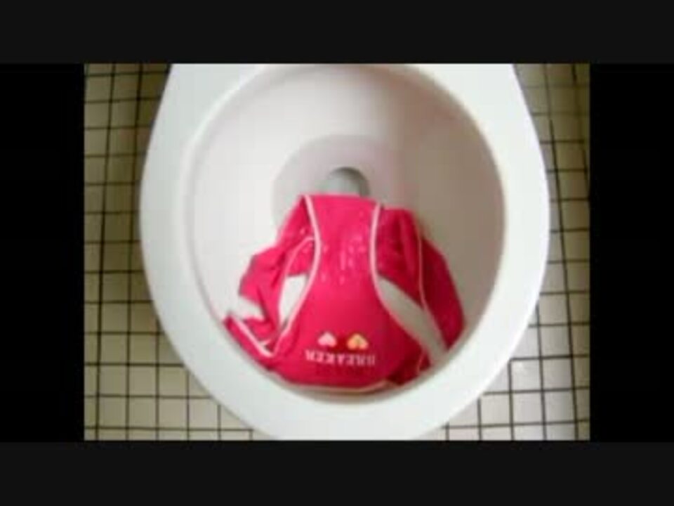 動物虐待 ハムスターをトイレに流す馬鹿野郎 子犬 子猫やかわいい小動物の癒し動画まとめ