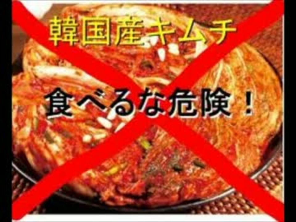 韓国の危険な食文化 Avi ニコニコ動画