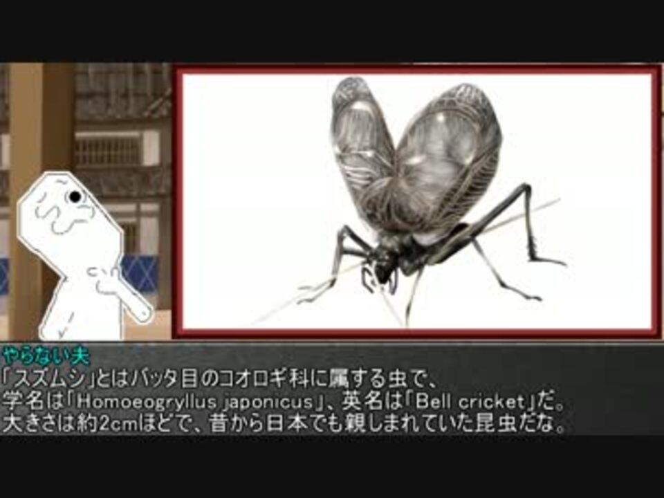 ゆっくり霊夢とやる夫が学ぶ 昆虫大百科 Part9 ニコニコ動画