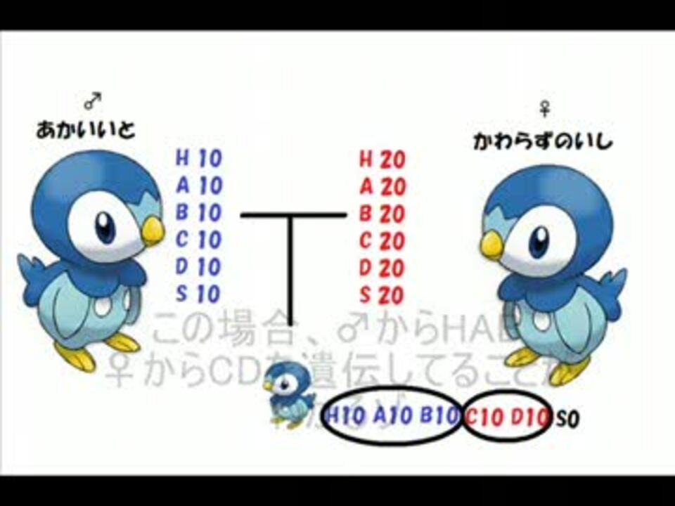 画像 ポケモン Xy 個体 値 調べ 方 シモネタ