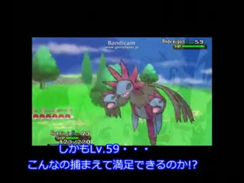 最も好ましい ポケモンxy サザンドラ 育成論 ポケモンの壁紙