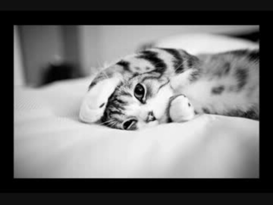 人気の Bumpofchicken 動画 1 265本 10 ニコニコ動画