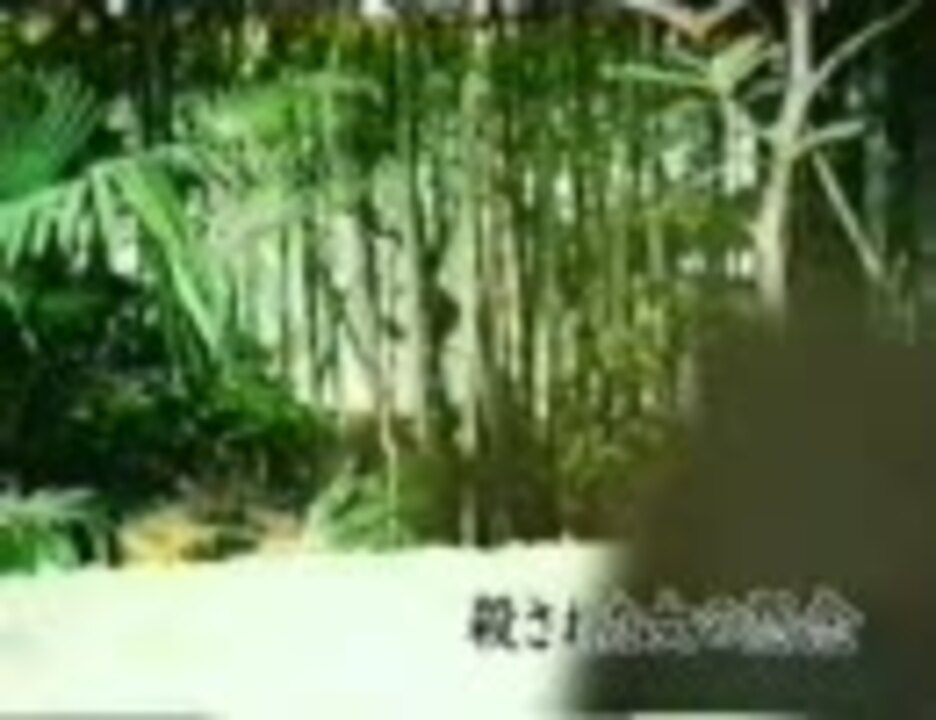 人気の 心霊 幽霊 動画 1 244本 ニコニコ動画