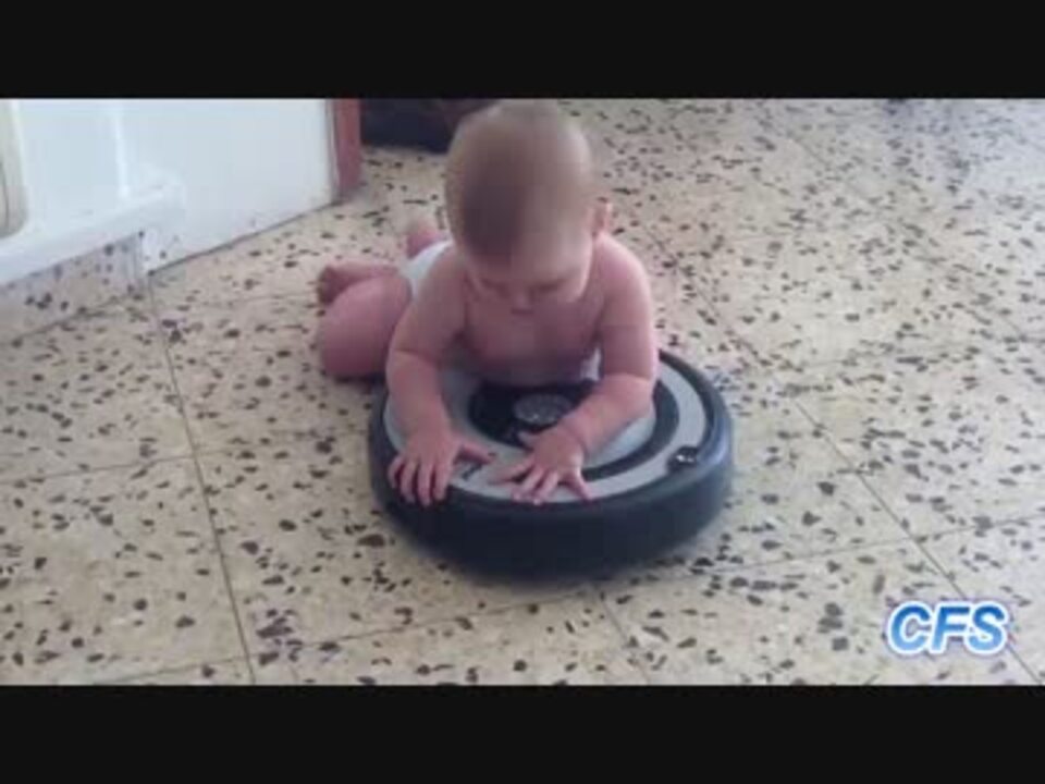 ルンバに乗る赤ちゃんたち ニコニコ動画