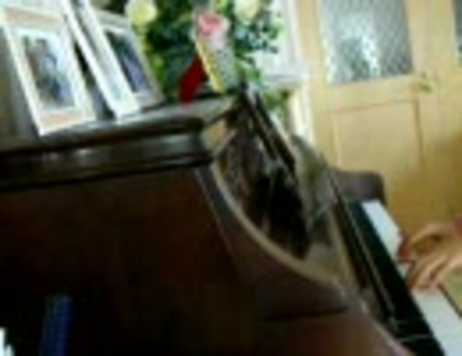 人気の「ずっと一緒さ」動画 8本 - ニコニコ動画