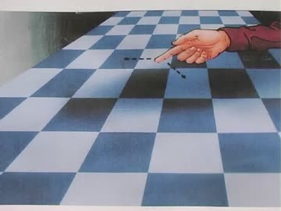 不思議な錯視の世界 １０の驚異的な錯視 ニコニコ動画