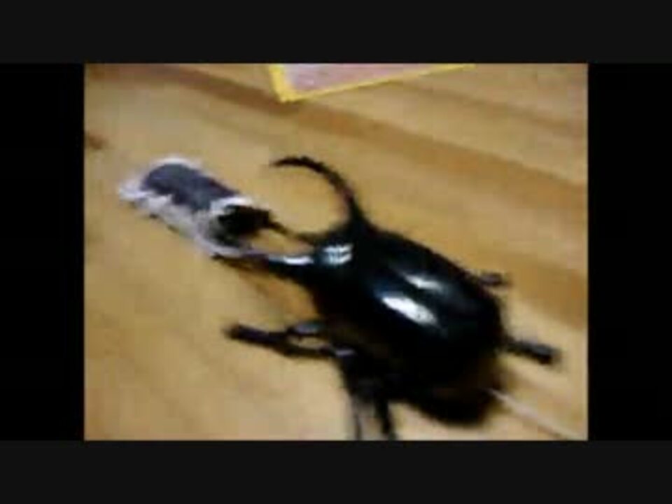 人気の アタックフィギュア 動画 6本 ニコニコ動画