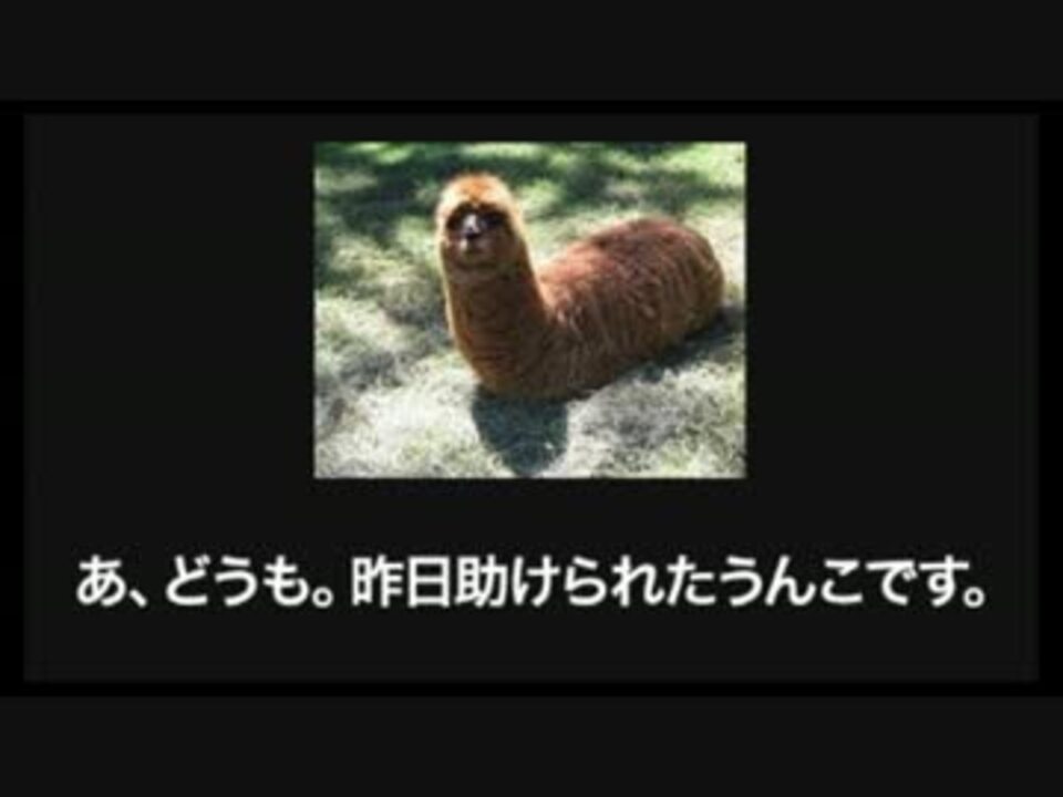 爆笑注意 13年 ２秒で笑えるおもしろボケ画像 動物編 ニコニコ動画