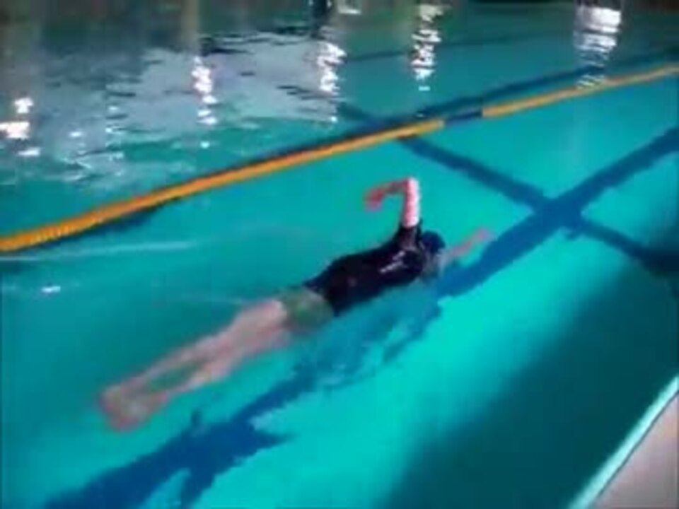 ゆっくり泳ぎ ニコニコ動画