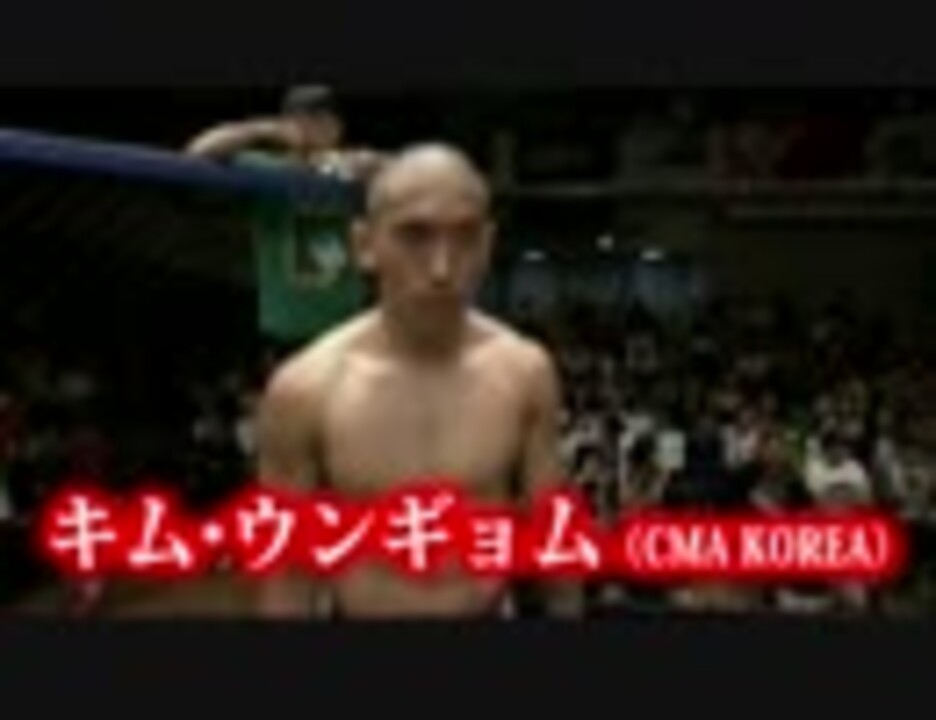 人気の 格闘技 韓国 動画 32本 ニコニコ動画