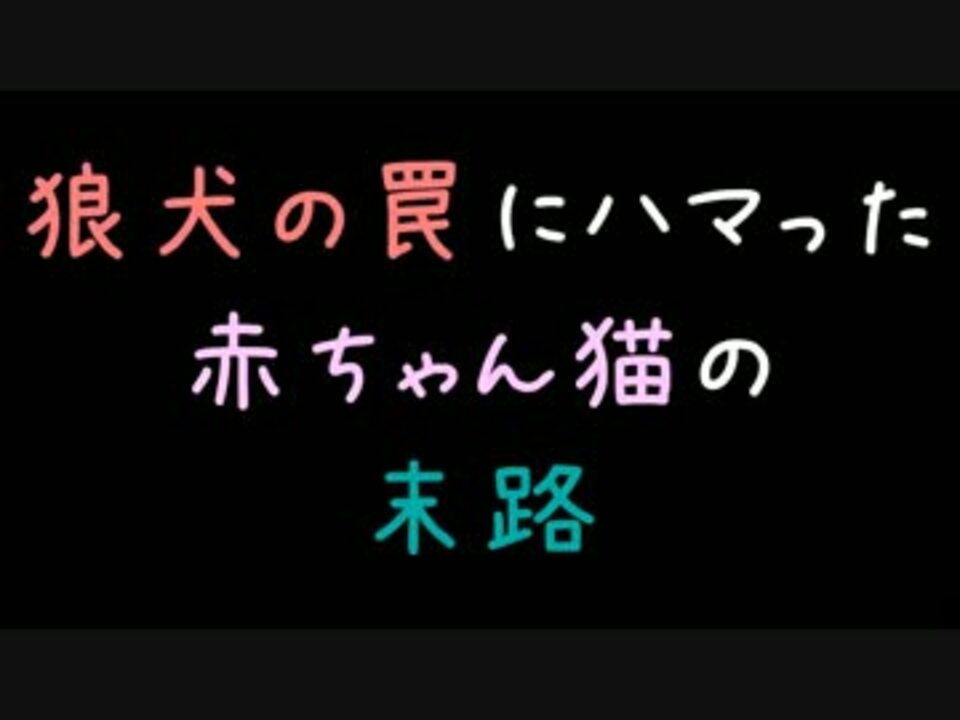 狼犬の罠にハマった赤ちゃん猫の末路 2ch ニコニコ動画