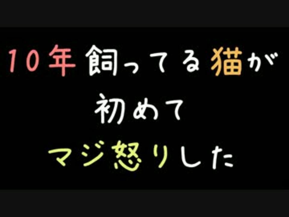 人気の 作ってみた コピペ 動画 1 429本 13 ニコニコ動画