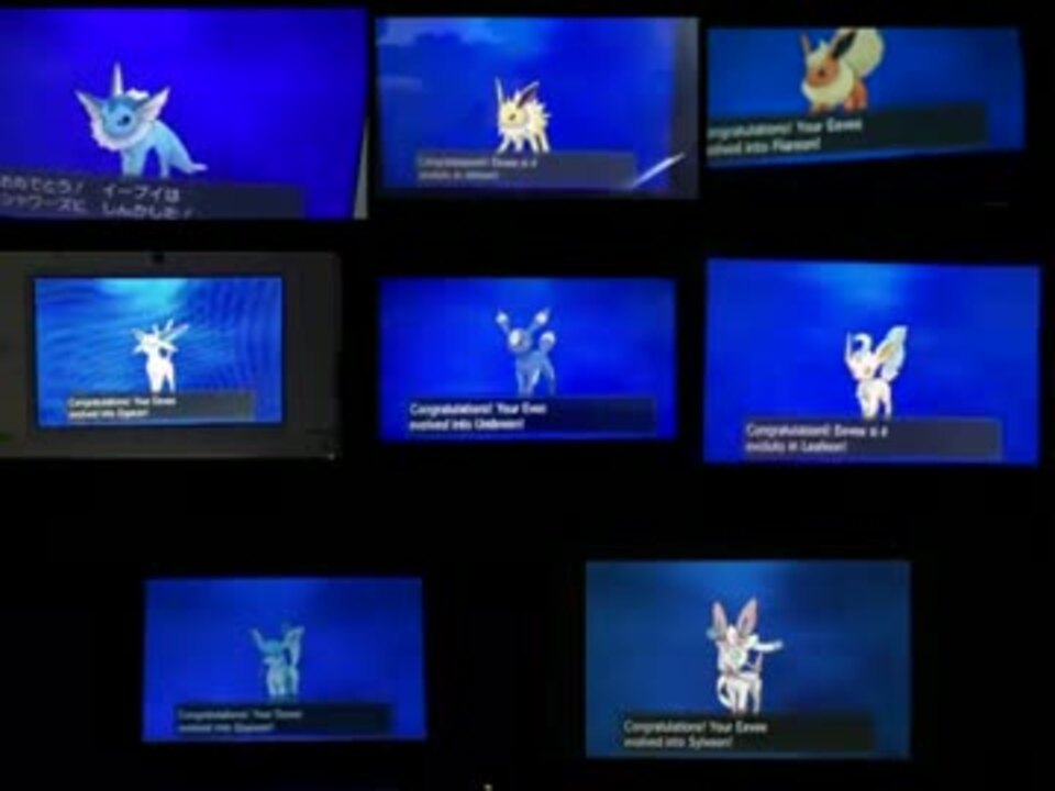 イーブイをみんな進化させてみた ポケモンｘｙ ニコニコ動画