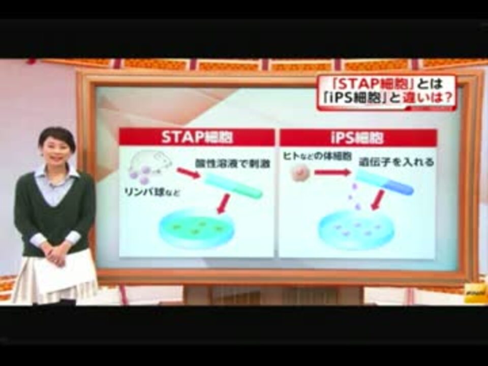理化学研究所 ｉｐｓ細胞より凄い ノーベル賞級の ｓｔａｐ細胞 ニコニコ動画