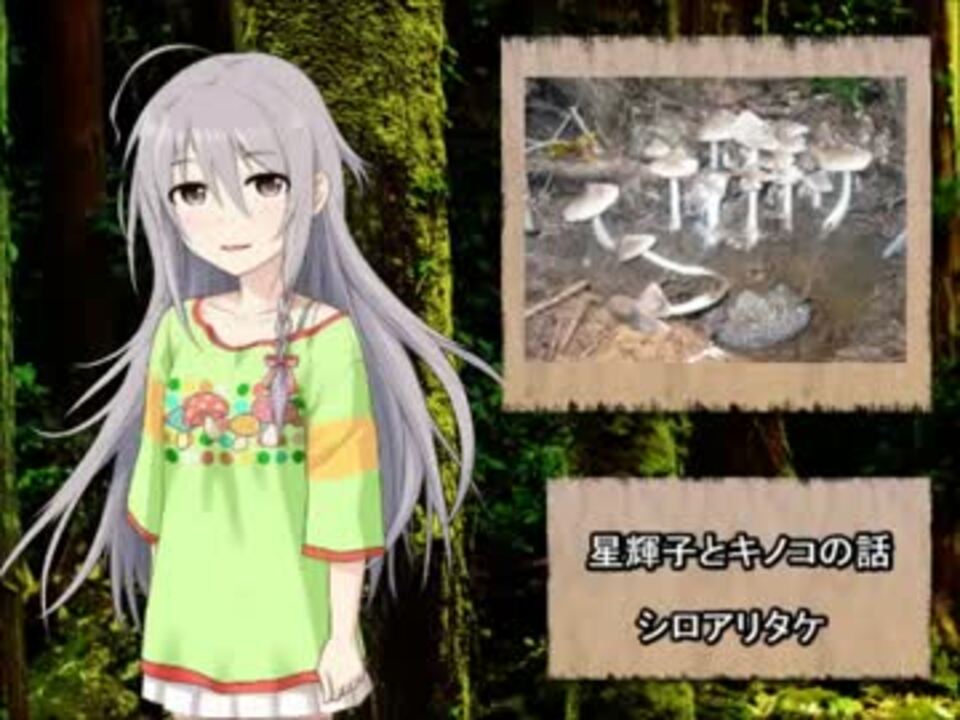 人気の キノコ 動画 1 677本 32 ニコニコ動画