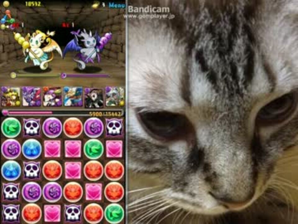 パズドラ 金曜ダンジョン 天獄塔 超地獄級 光リリスパ ニコニコ動画