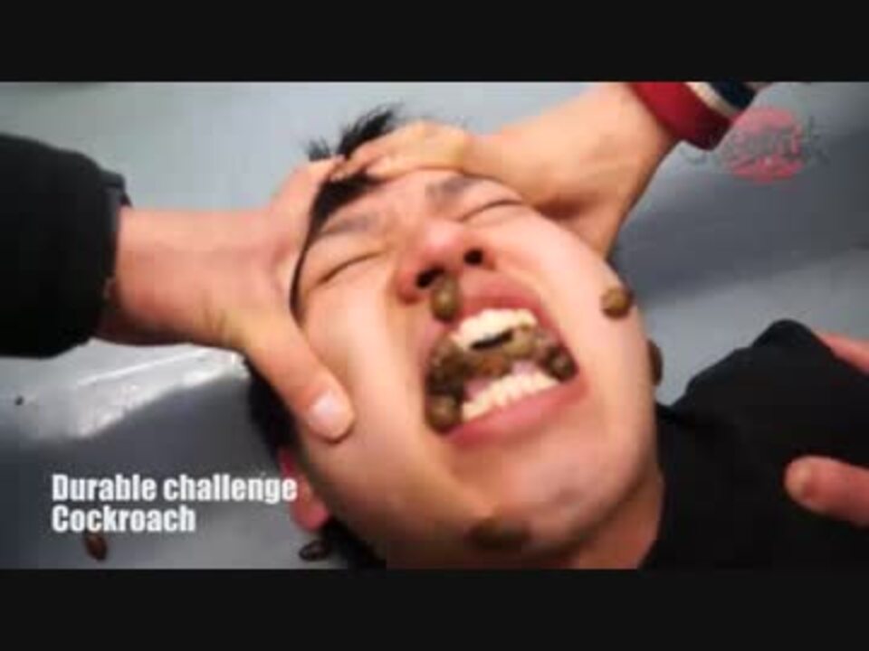 Cockroach Challenge ゴキブリ耐久チャレンジ 腹切万歳 ニコニコ動画