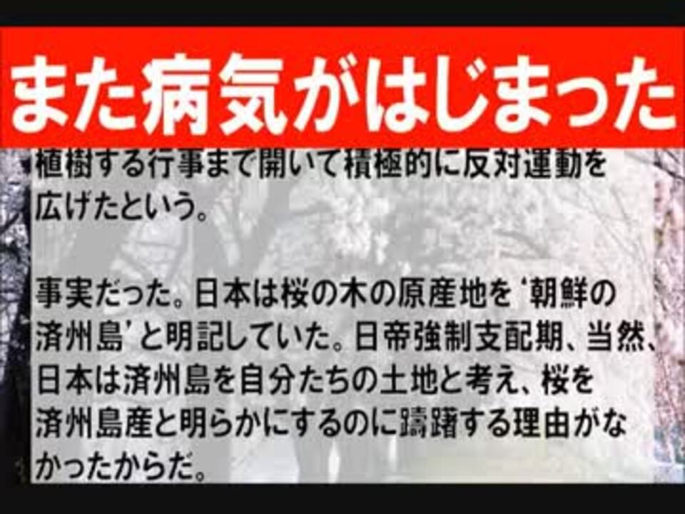 人気の 韓国起源説 動画 135本 3 ニコニコ動画