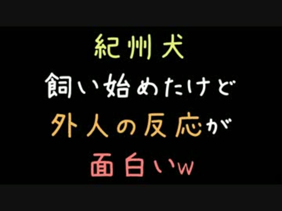 人気の 作ってみた コピペ 動画 1 403本 36 ニコニコ動画