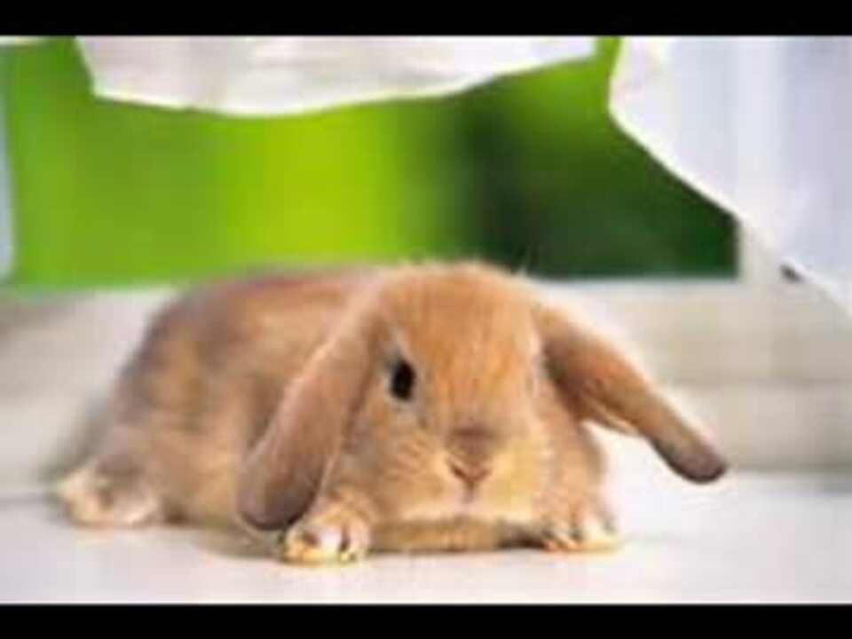 となりの怪物くん ドラマcd Wmv ニコニコ動画