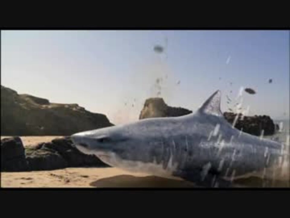 人気の サメ映画 動画 2本 ニコニコ動画