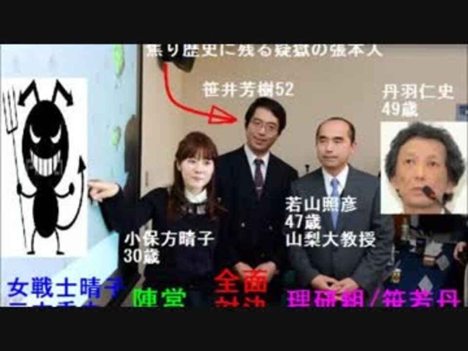 小保方晴子vs若山教授 Stap細胞を巡りモンスター化した責任と成果の ニコニコ動画