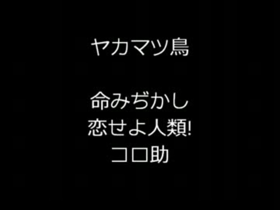 ヤカマツ鳥 命みぢかし恋せよ人類 コロ助 Wmv ニコニコ動画