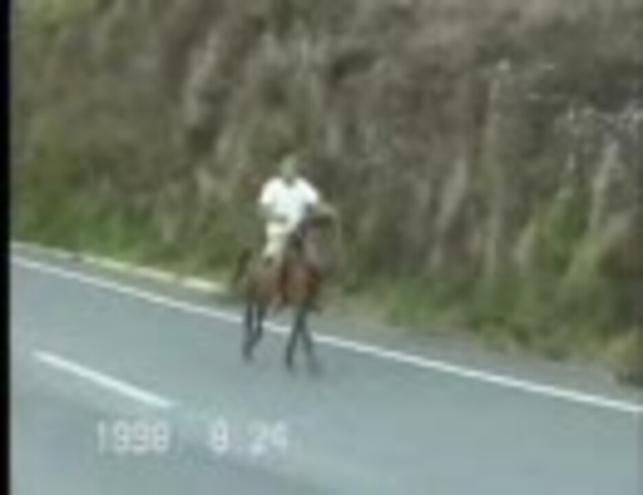 暴れん坊な馬生活 馬は軽車両 左通行 ニコニコ動画