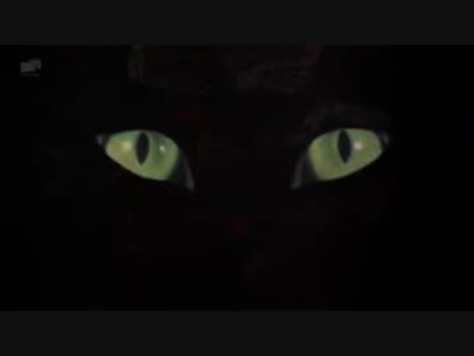 シンドバッド虎の目大冒険 6 6 ニコニコ動画