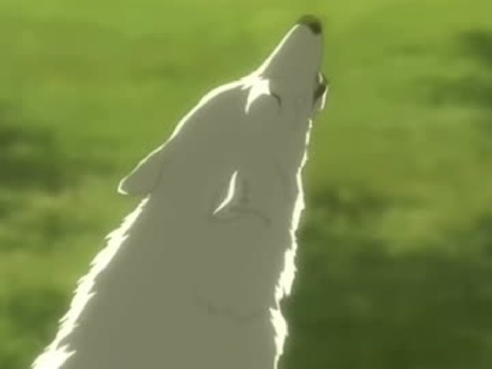Wolf S Rain Op 動画 Apexdentalcentre Com Au