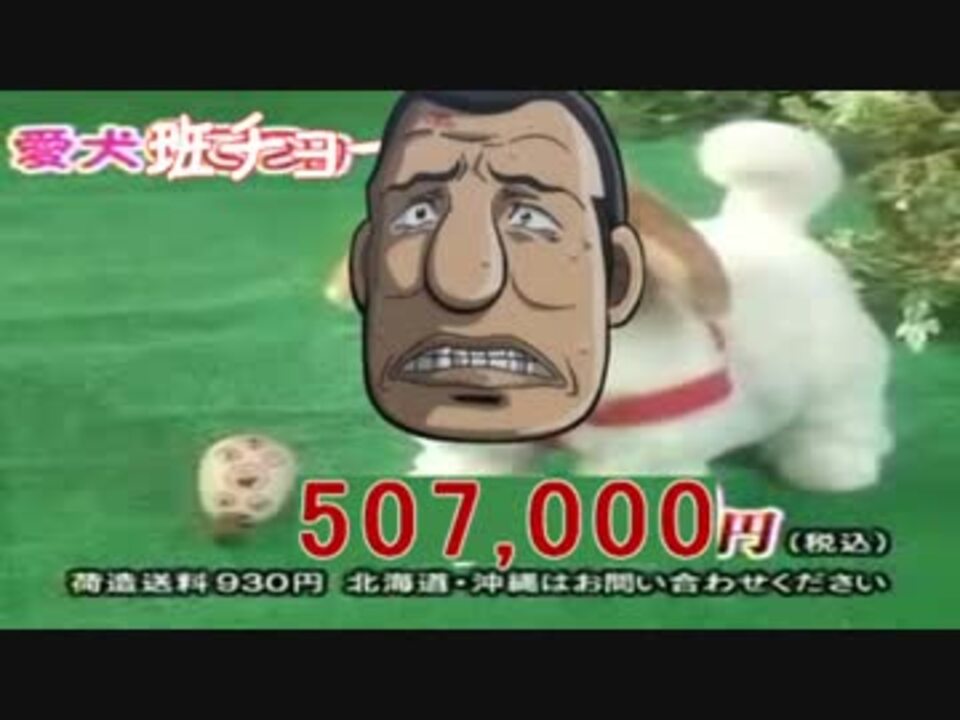 人気の 班チョー 動画 109本 2 ニコニコ動画