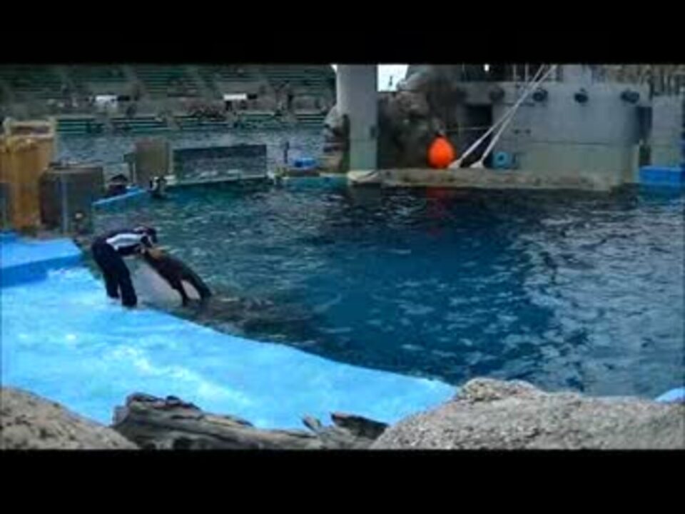 人気の 名古屋港水族館 動画 137本 3 ニコニコ動画
