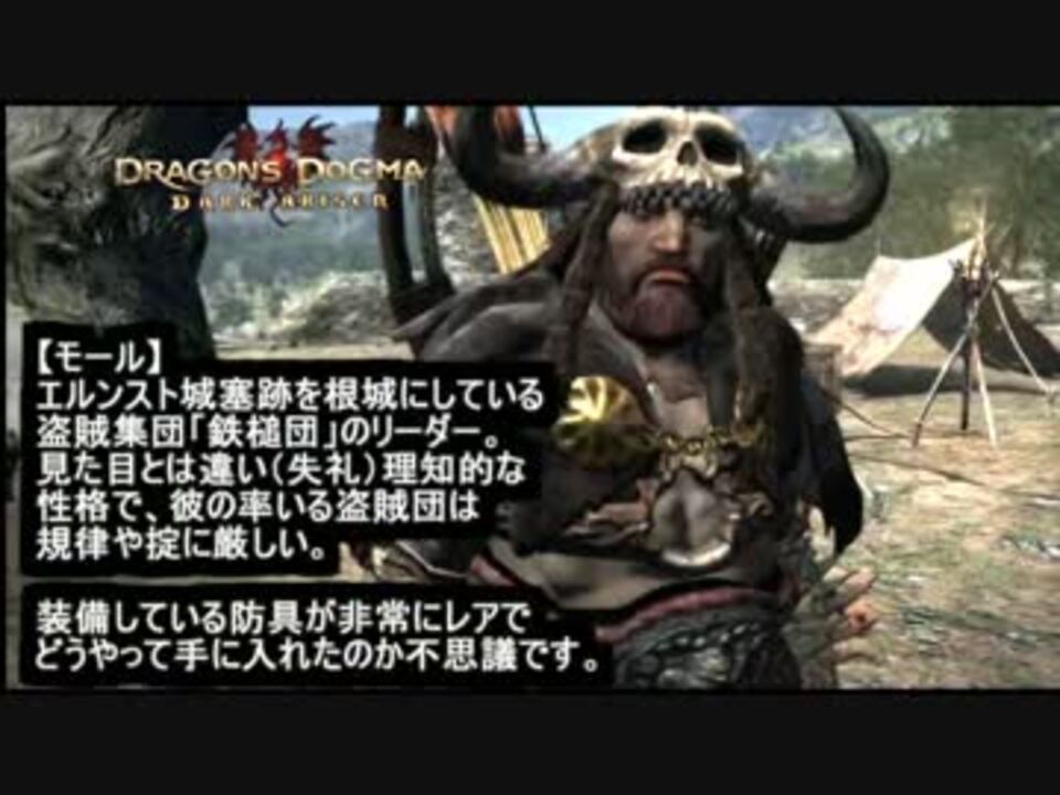 最新 ドラゴンズドグマ ダークアリズン 違い ベストコレクション漫画 アニメ