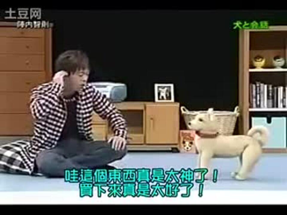 陣内智則 犬との対話 ニコニコ動画