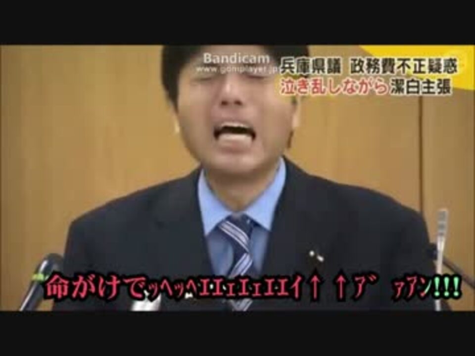 野々村議員 全部俺 けいと ニコニコ動画