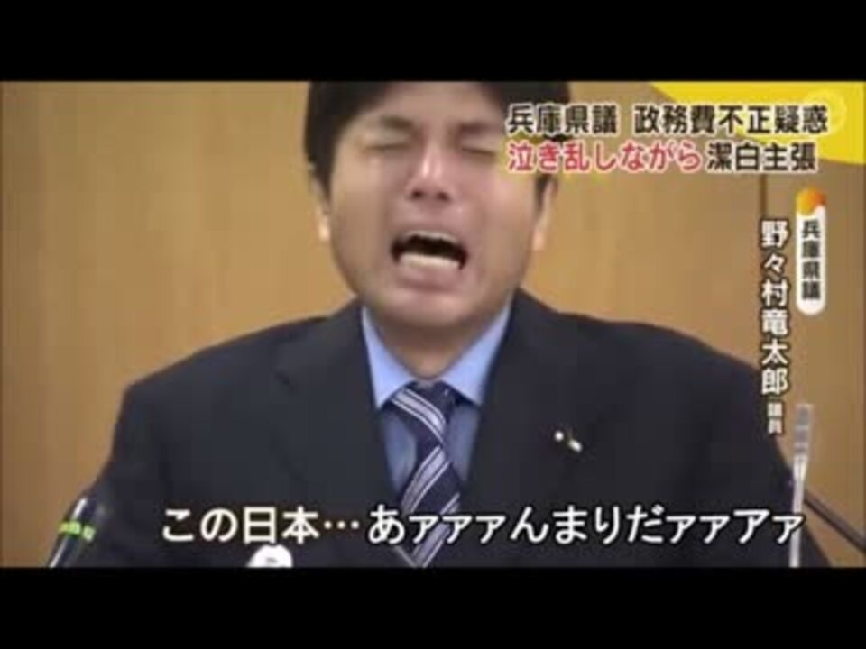 野々村竜太郎議員が全く気付かないうちにエシディシになるをやってみた ニコニコ動画