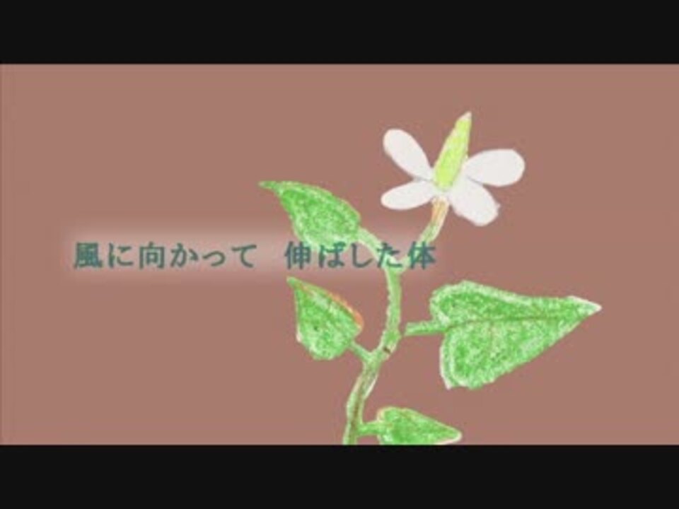 人気の ボカロ花言葉曲 動画 16本 ニコニコ動画