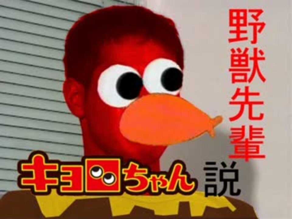 品キョロちゃんでしゅ キョロちゃ Www Ipmoment Com