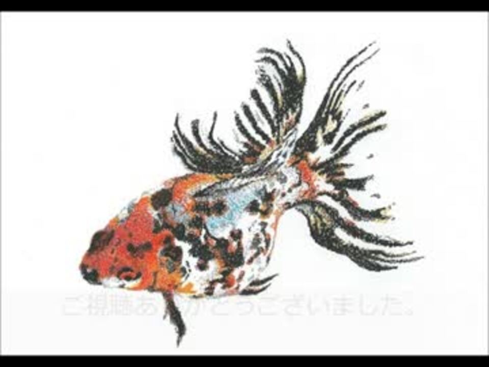 金魚を点描で描いてみた ニコニコ動画