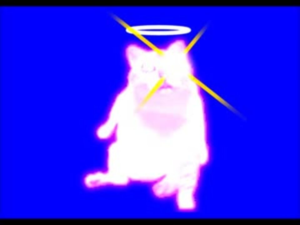 MUR猫の覚醒と開放+おまけ♥BB - ニコニコ動画