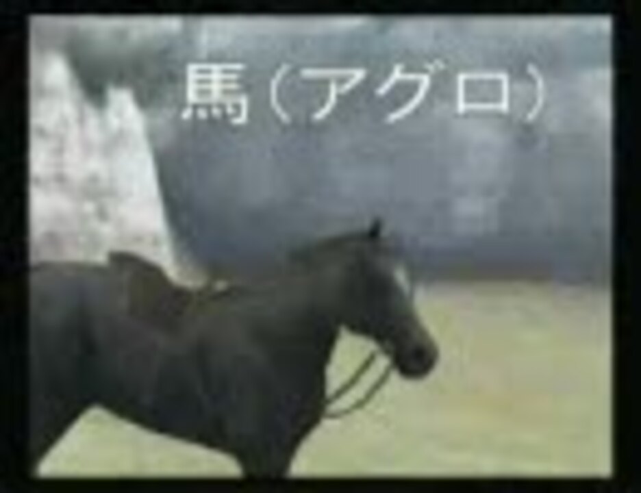 ﾜﾝﾀﾞと巨像 ﾜﾝﾀﾞの世界の動物達 僕達立派な出演者 ニコニコ動画